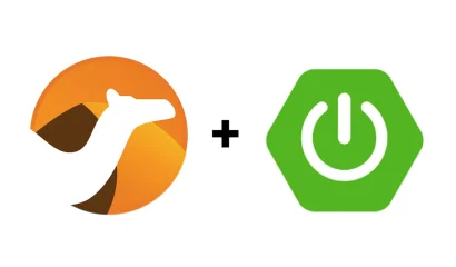 apache_springboot